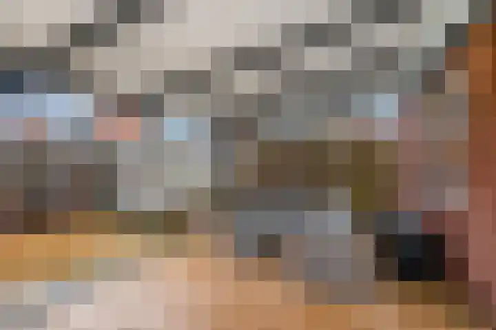 Panhuis 2 Veenendaal thumbnail 25