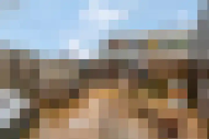 Panhuis 2 Veenendaal thumbnail 27