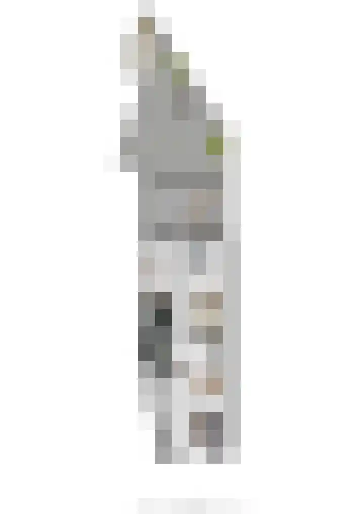 Panhuis 2 Veenendaal thumbnail 31