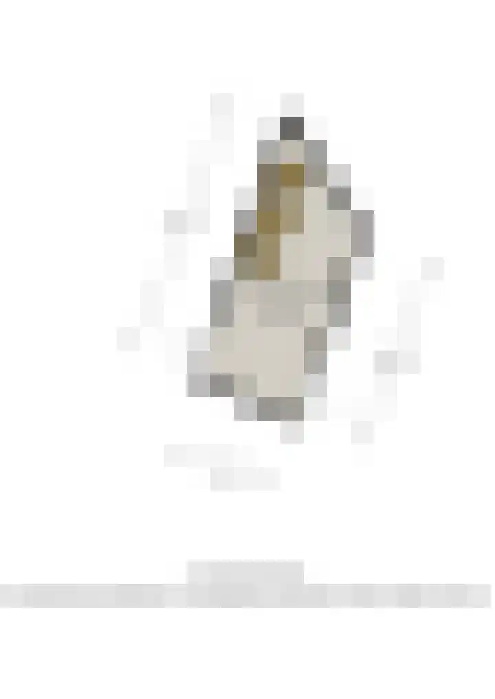 Panhuis 2 Veenendaal thumbnail 33