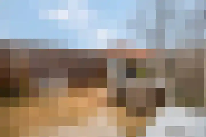 Panhuis 2 Veenendaal thumbnail 4