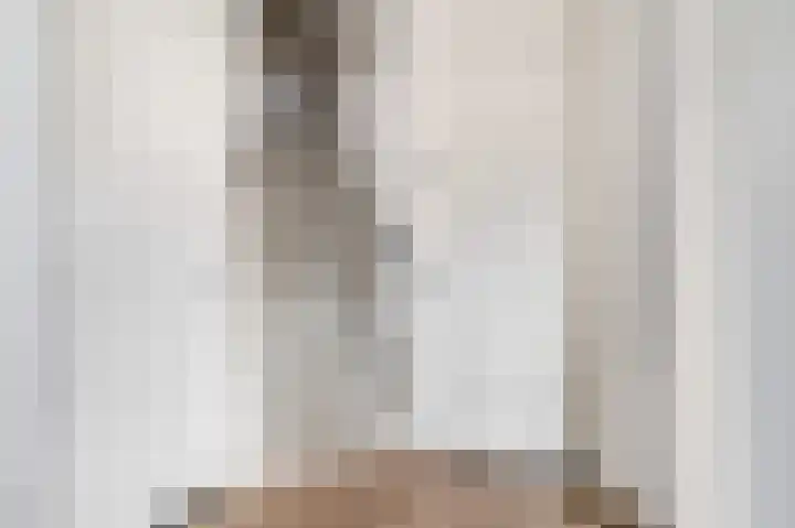 Panhuis 2 Veenendaal thumbnail 7
