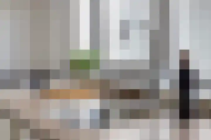 Panhuis 3 A Veenendaal thumbnail 11