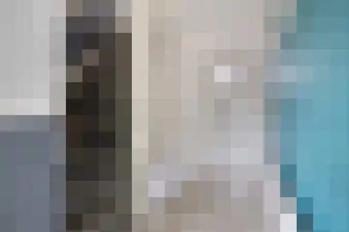 Panhuis 3 A Veenendaal thumbnail 12