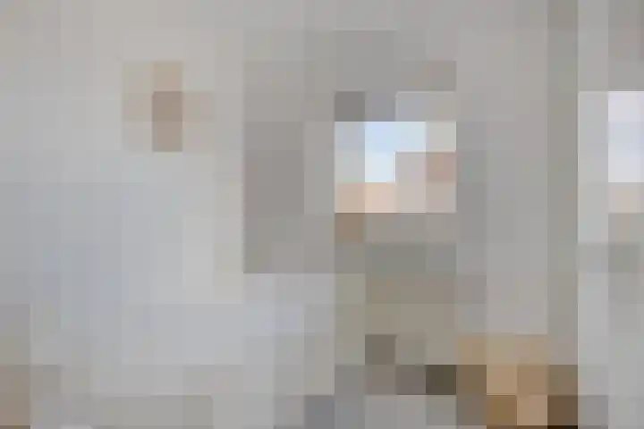 Panhuis 3 A Veenendaal thumbnail 15