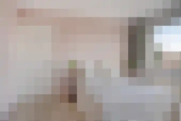 Panhuis 3 A Veenendaal thumbnail 16