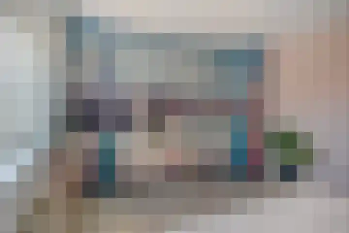 Panhuis 3 A Veenendaal thumbnail 17