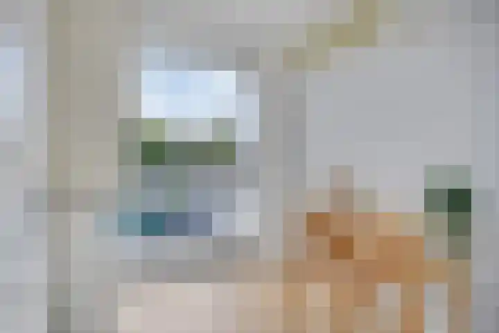 Panhuis 3 A Veenendaal thumbnail 20