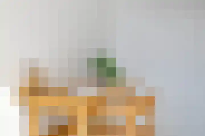 Panhuis 3 A Veenendaal thumbnail 22