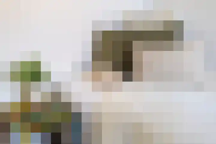Panhuis 3 A Veenendaal thumbnail 25