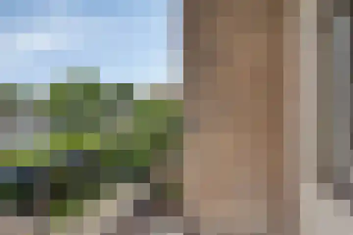 Panhuis 3 A Veenendaal thumbnail 26