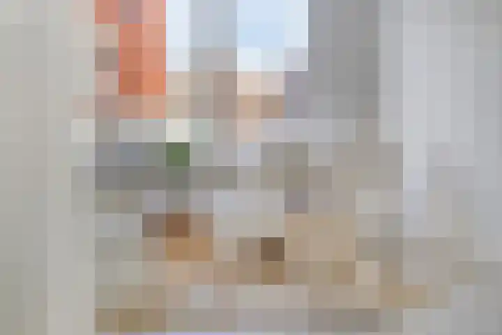Panhuis 3 A Veenendaal thumbnail 27