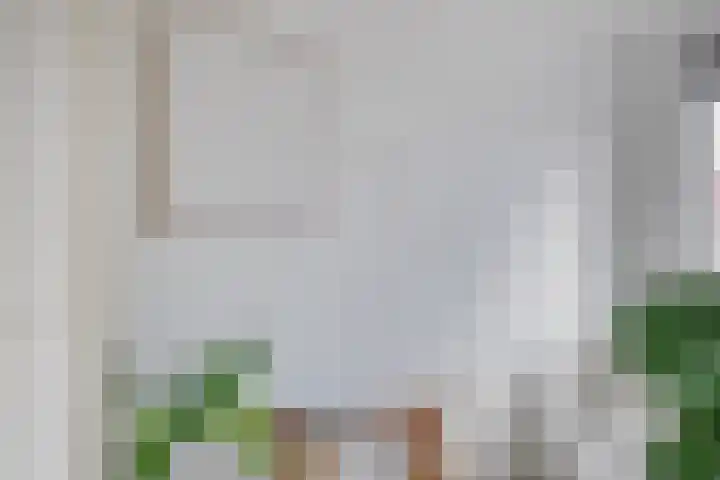 Panhuis 3 A Veenendaal thumbnail 28