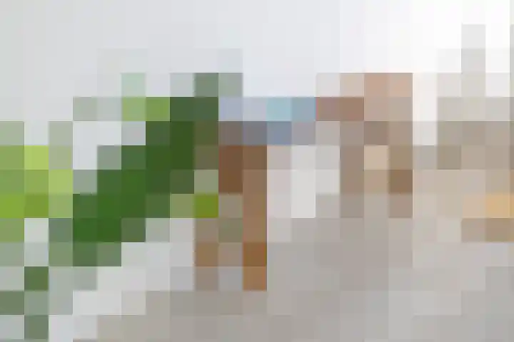 Panhuis 3 A Veenendaal thumbnail 29