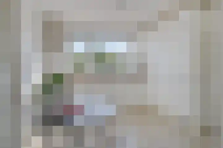 Panhuis 3 A Veenendaal thumbnail 5