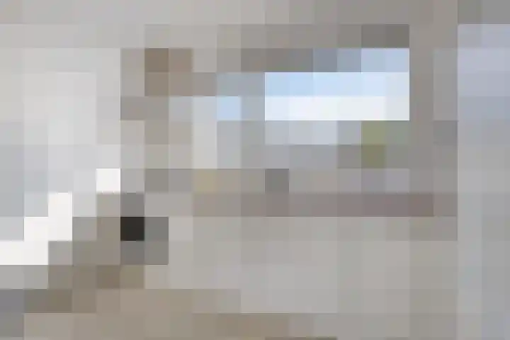Panhuis 3 A Veenendaal thumbnail 7