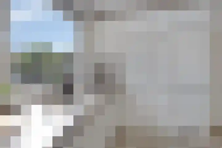 Panhuis 3 A Veenendaal thumbnail 8