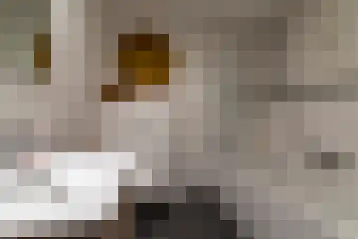 Panhuis 4 A Veenendaal thumbnail 20