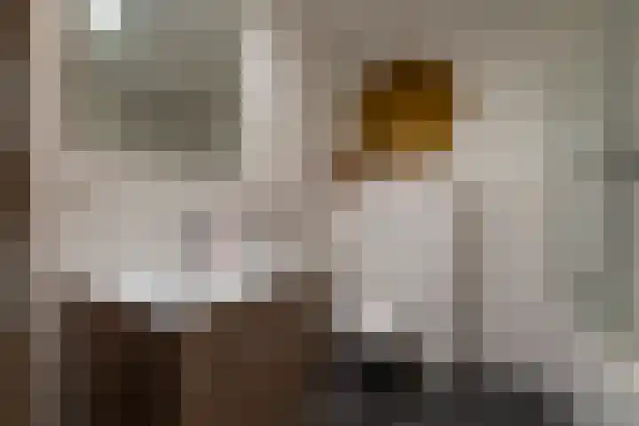 Panhuis 4 A Veenendaal thumbnail 21