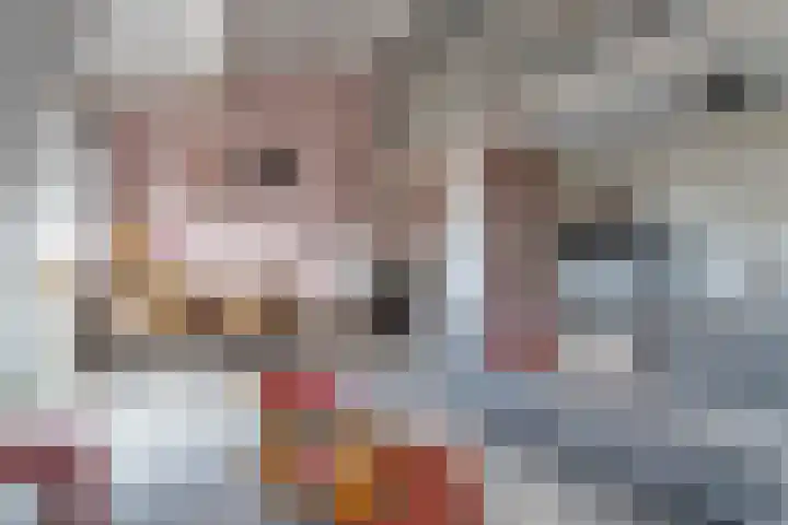 Panhuis 4 A Veenendaal thumbnail 4