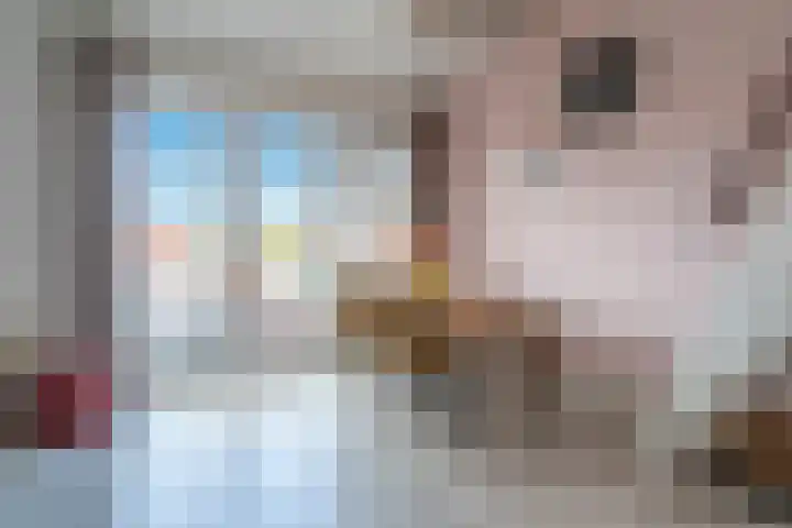 Panhuis 4 A Veenendaal thumbnail 6