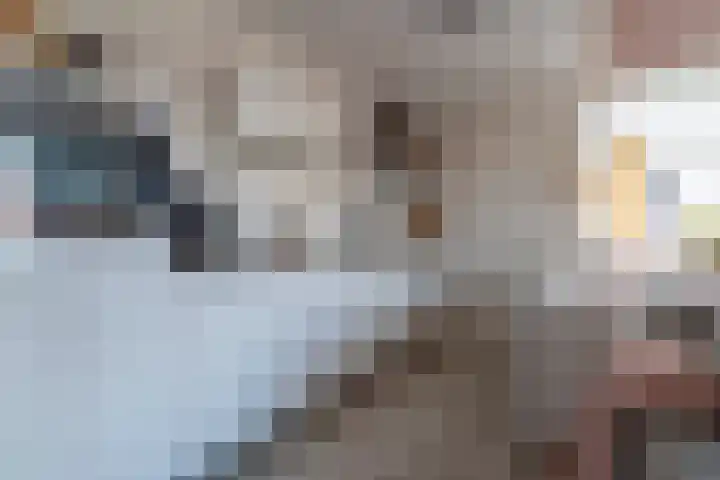 Panhuis 4 A Veenendaal thumbnail 7