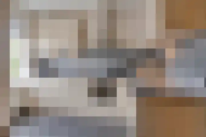 Panhuis 49 Veenendaal thumbnail 4