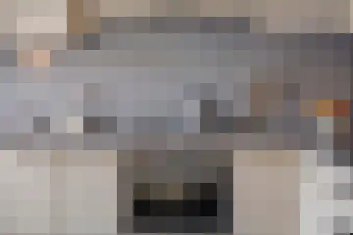 Panhuis 49 Veenendaal thumbnail 8