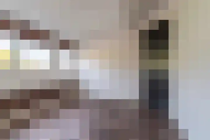 Panhuis 89 Veenendaal thumbnail 26