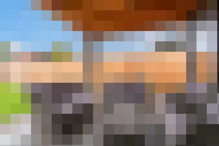 Panhuis 89 Veenendaal thumbnail 28