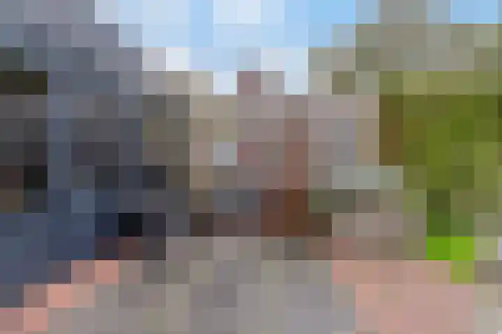 Panhuis 89 Veenendaal thumbnail 32