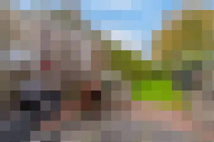 Panhuis 89 Veenendaal thumbnail 33