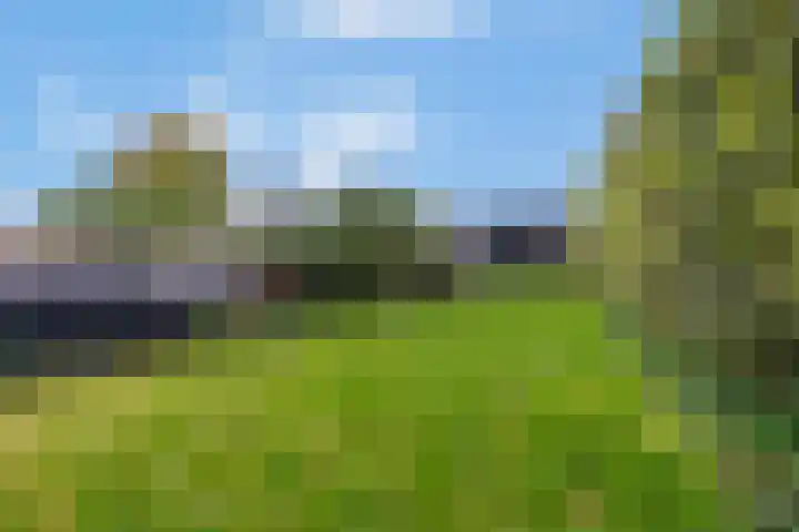 Panhuis 89 Veenendaal thumbnail 36