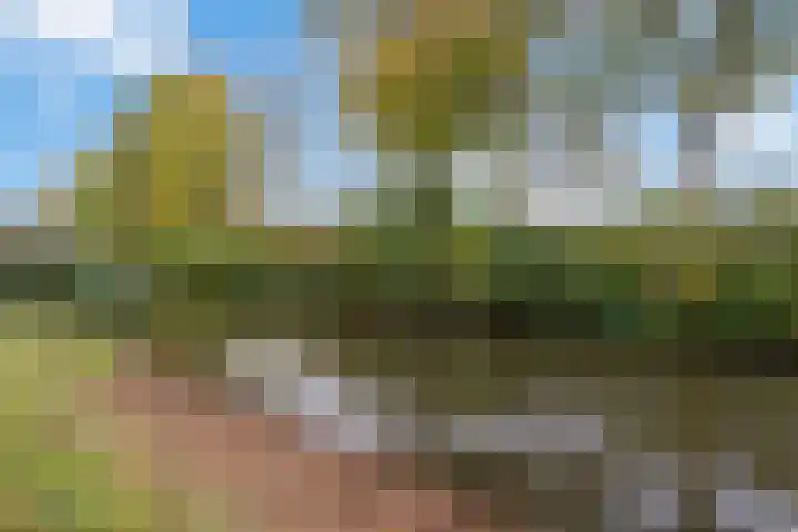Panhuis 89 Veenendaal thumbnail 37