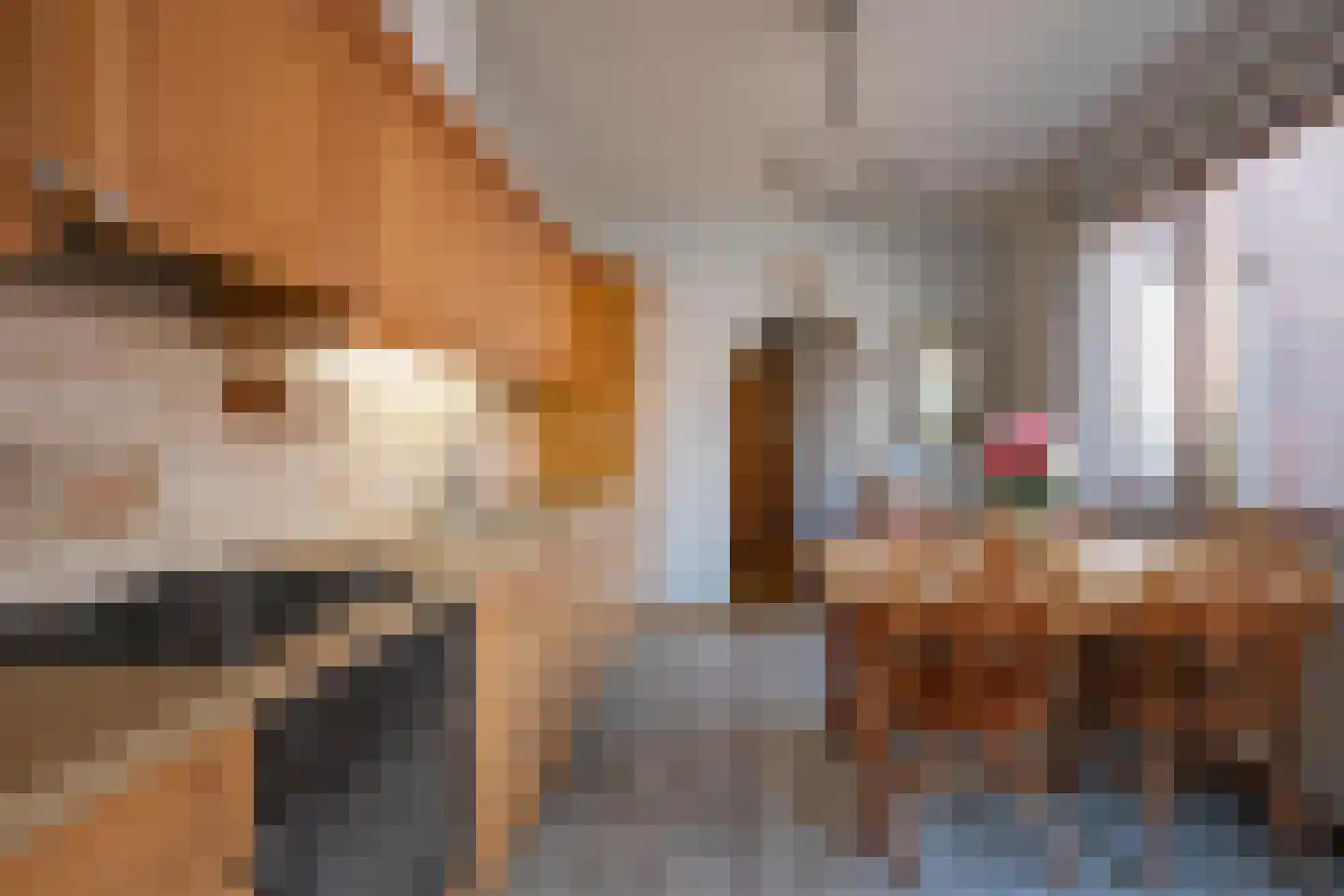 Panhuisstraat 15 Voerendaal thumbnail 10
