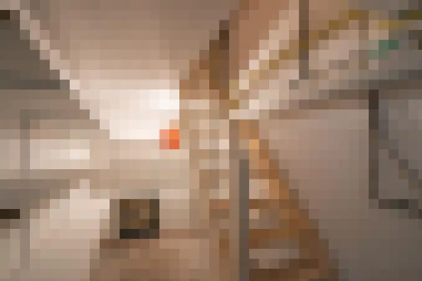 Panhuisstraat 15 Voerendaal thumbnail 20