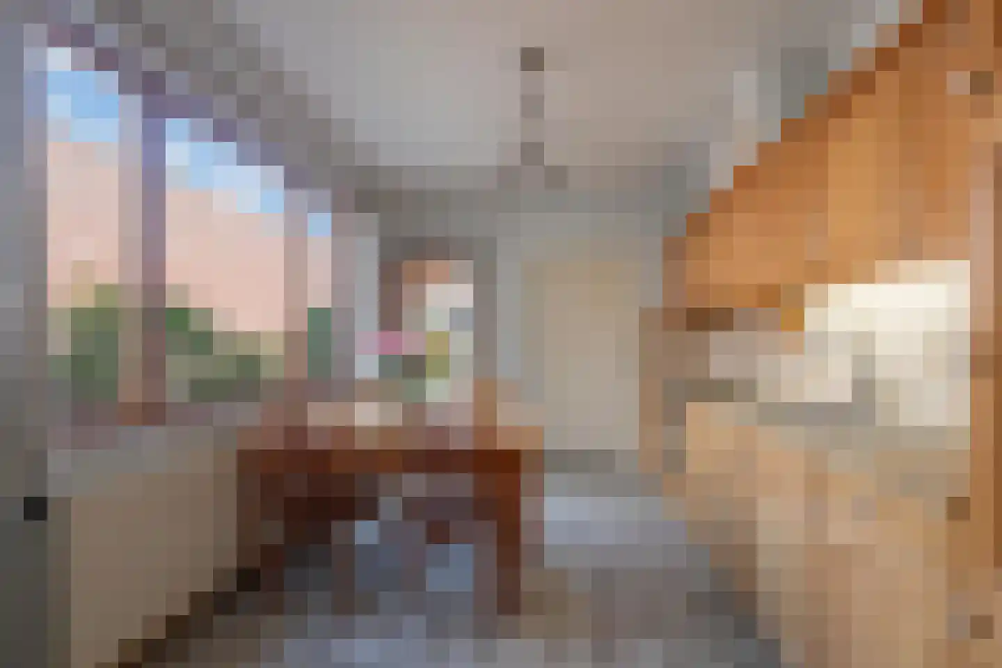Panhuisstraat 15 Voerendaal thumbnail 9