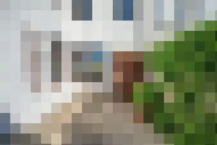 Panhuisstraat 22 Venlo thumbnail 27