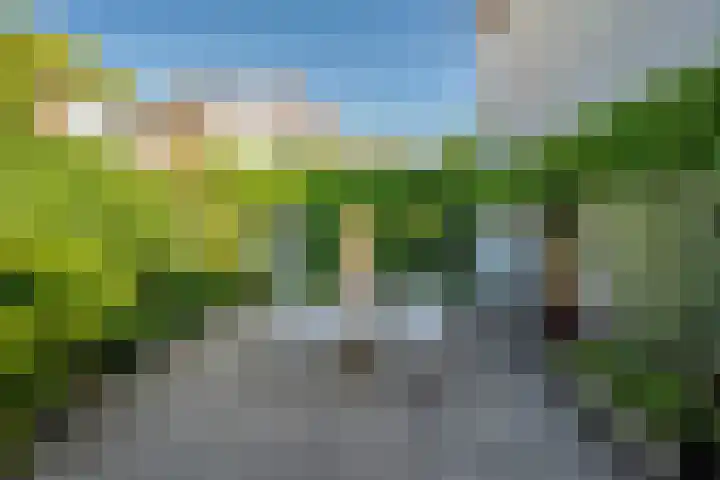 Panhuisstraat 22 Venlo thumbnail 31