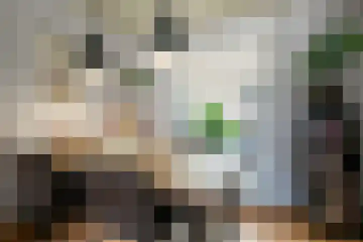 Panhuisstraat 36 Voerendaal thumbnail 8