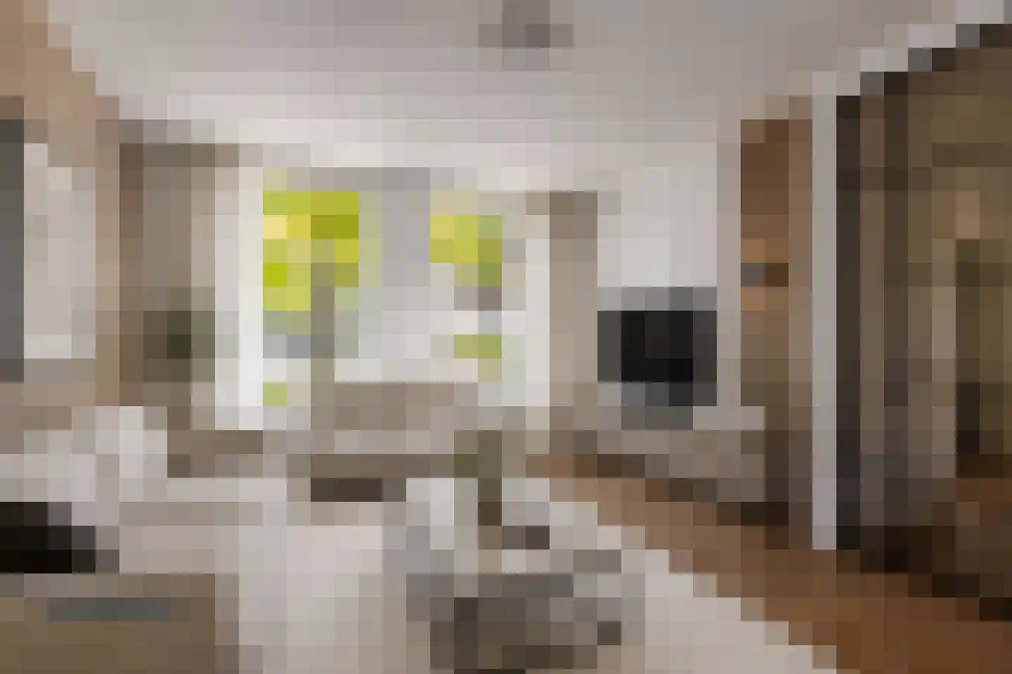 Panhuisstraat 40 Venlo thumbnail 11