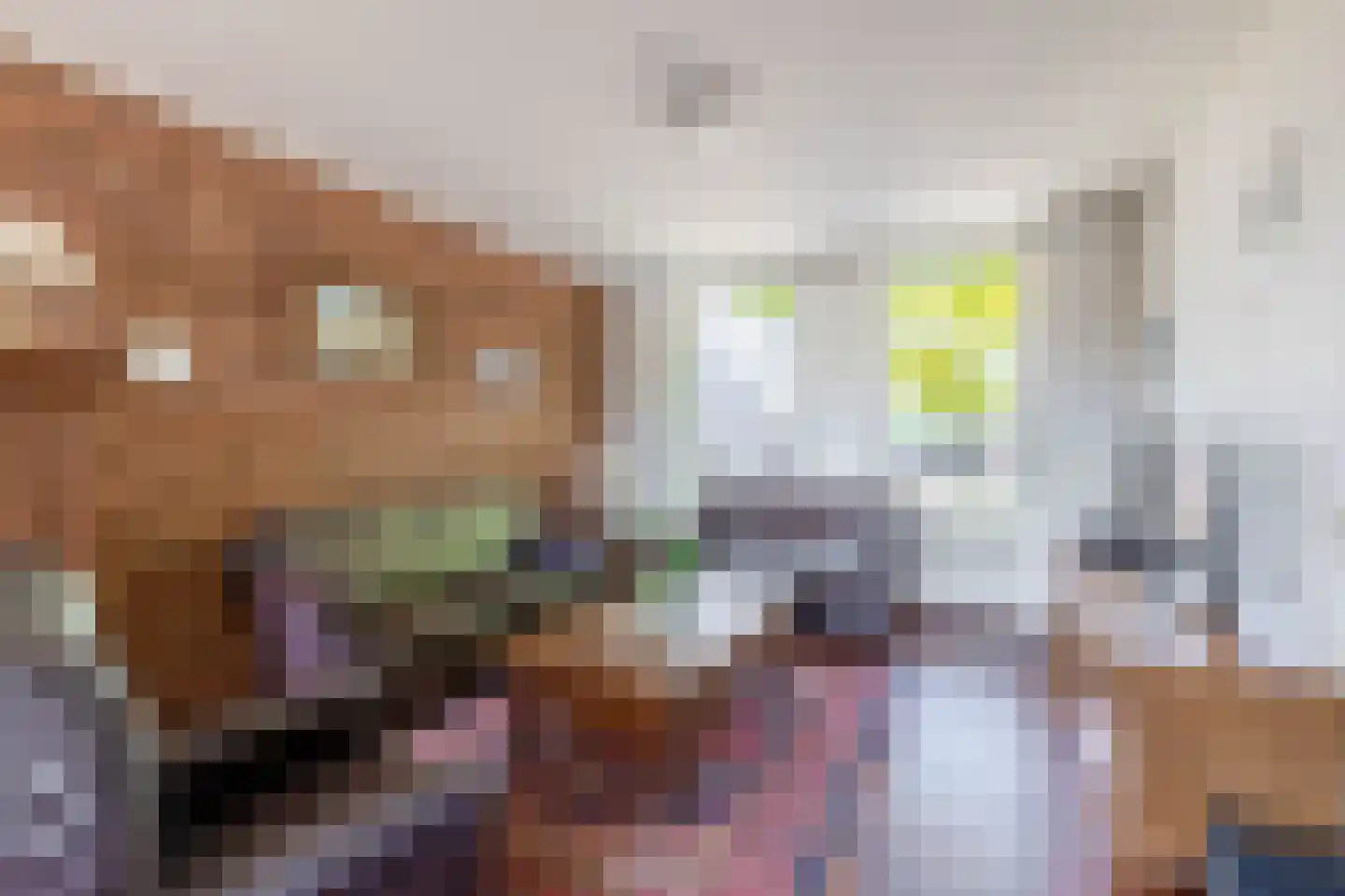 Panhuisstraat 40 Venlo thumbnail 8