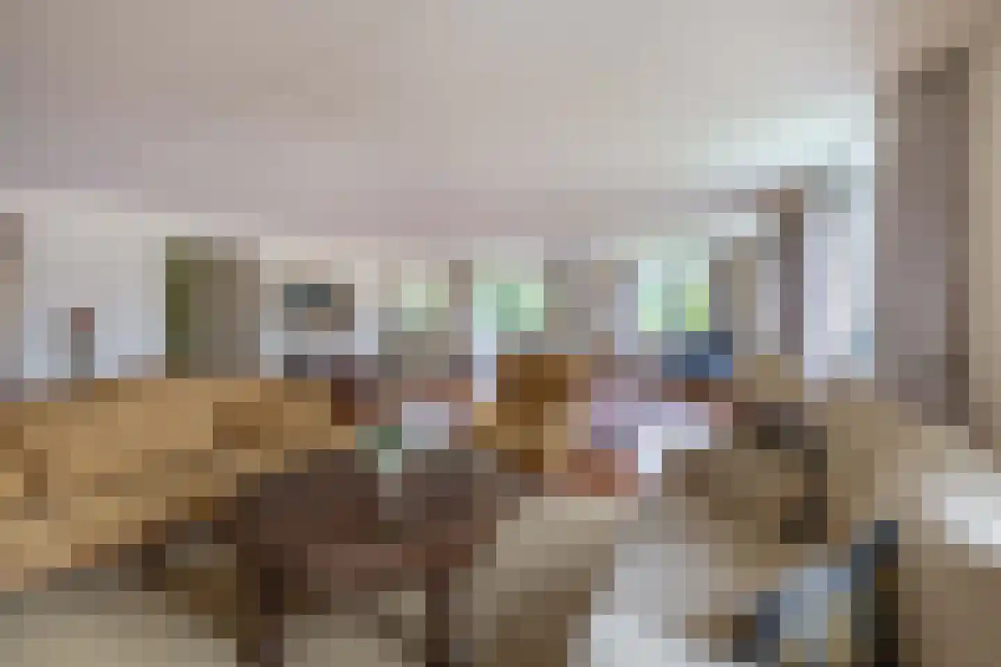Panhuisstraat 55 Venlo thumbnail 10