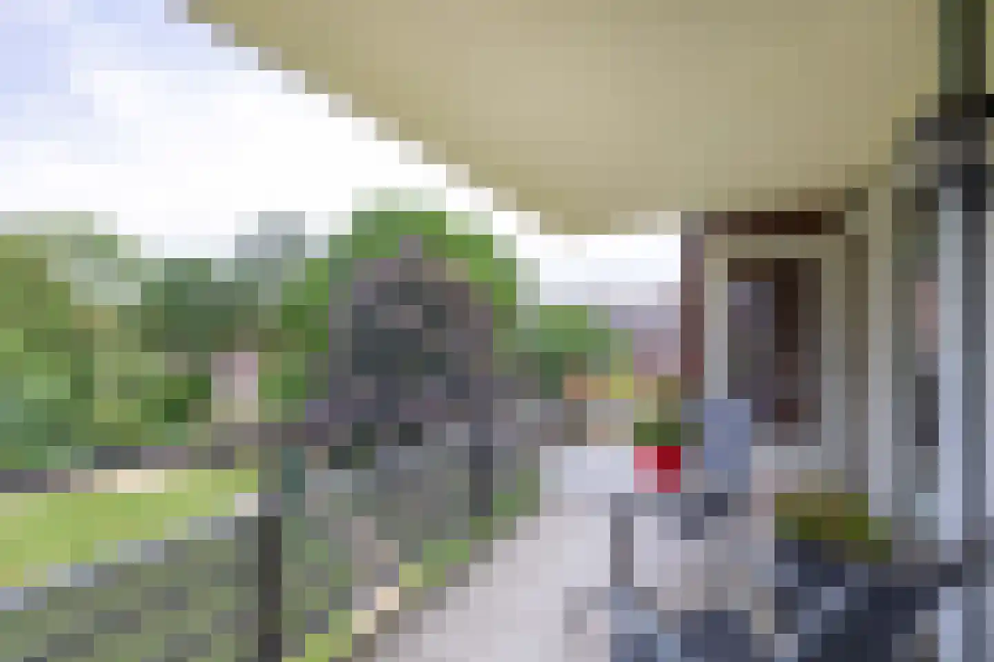 Panhuisstraat 55 Venlo thumbnail 17