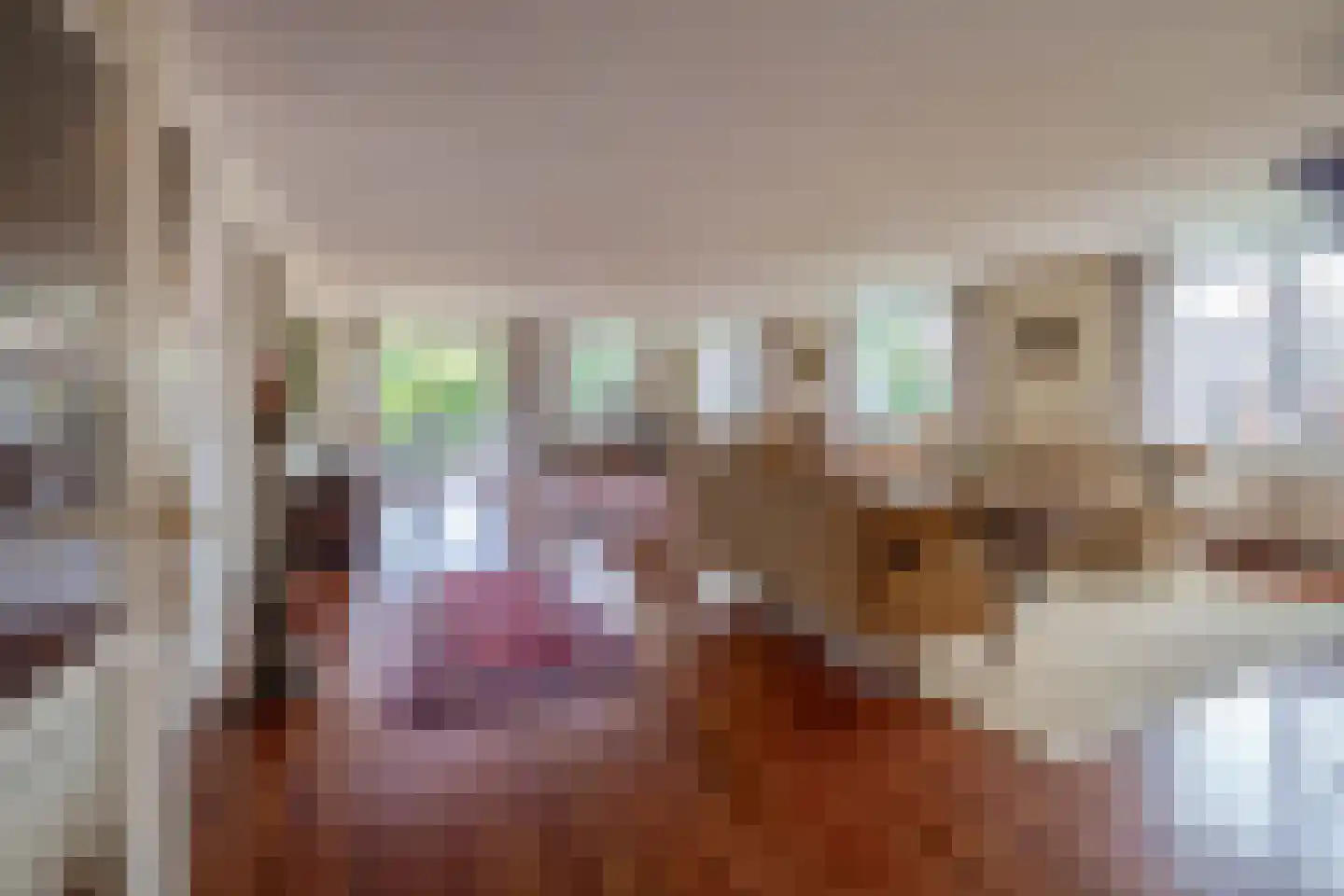 Panhuisstraat 55 Venlo thumbnail 6