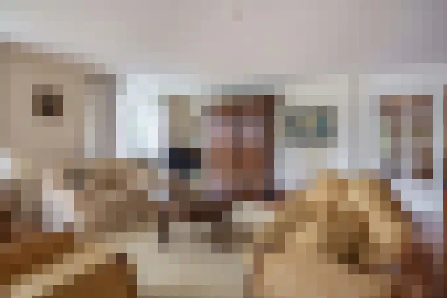 Panhuisstraat 55 Venlo thumbnail 7