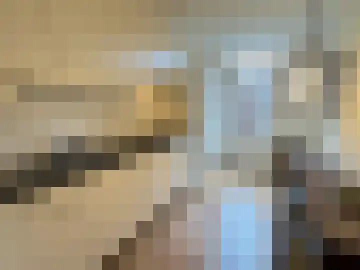 Panhuisstraat 7 Venlo thumbnail 11