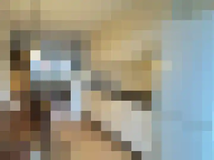 Panhuisstraat 7 Venlo thumbnail 12