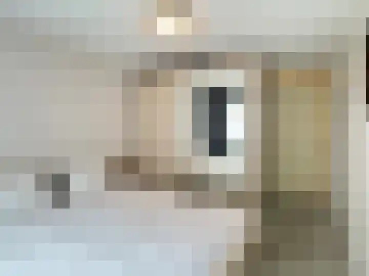 Panhuisstraat 7 Venlo thumbnail 16