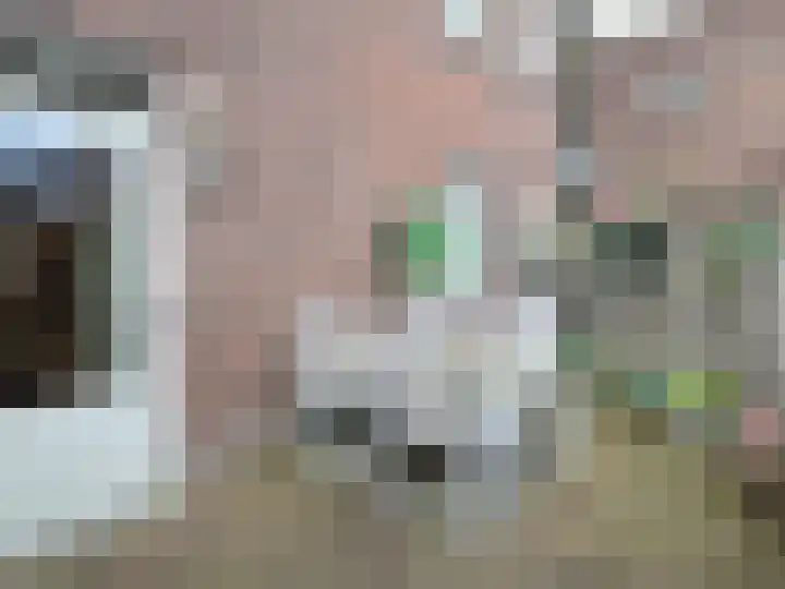 Panhuisstraat 7 Venlo thumbnail 21